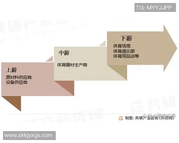 体育产业链深度解析 体育产业链深度解析