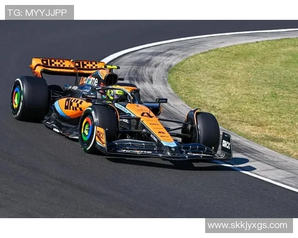 F1赛车工程师对比赛策略的重要作用 F1赛车工程师对比赛策略的重要作用